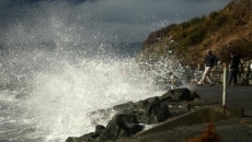 Powerful wind storm buffets coastal B.C